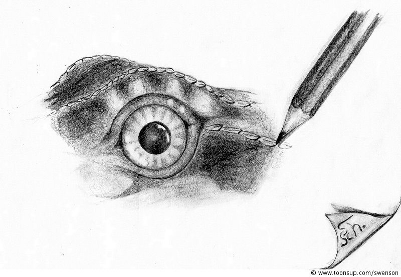 Illustration: Eye of Speedy 1