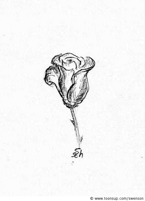 Illustration: Rose (klein) 1