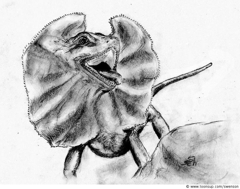 Illustration: Kragenechse 2. Version 1