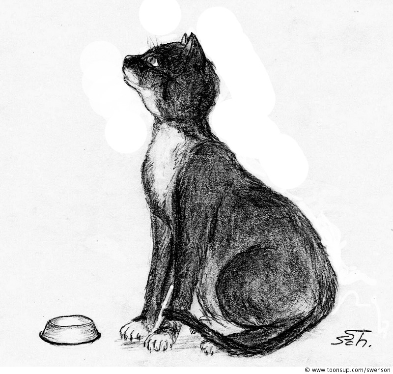 Illustration: Felidae 1