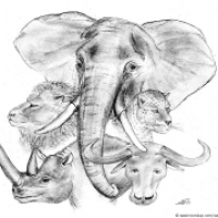 The BIG FIVE