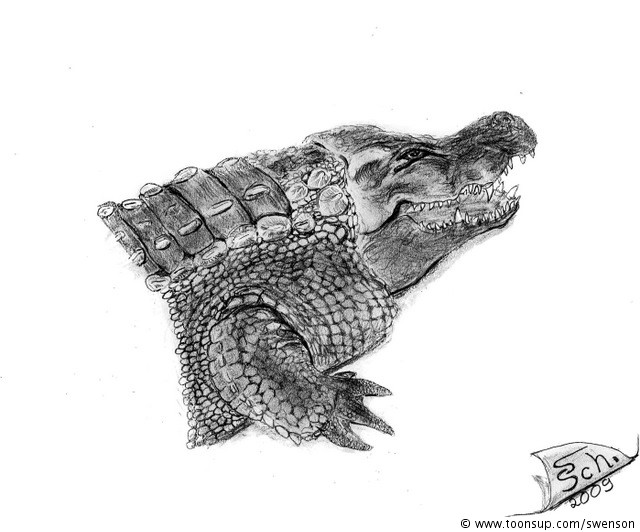 Illustration: Crocodilia 1