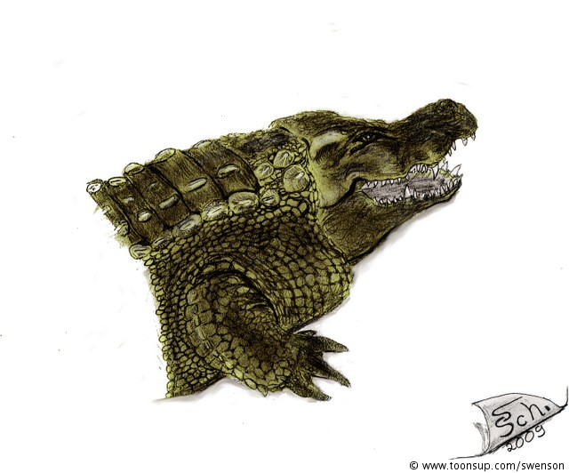 Illustration: Crocodilia 2