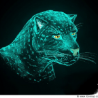 Leopard   2.Chance