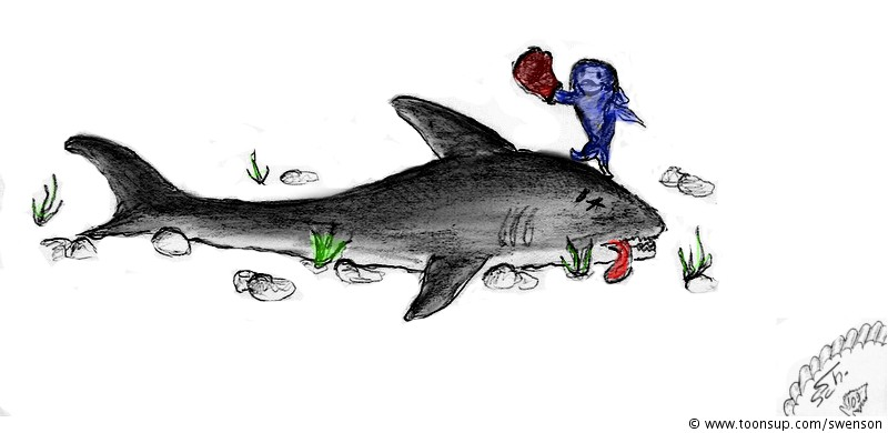 Illustration: Hai-lauer 5 1