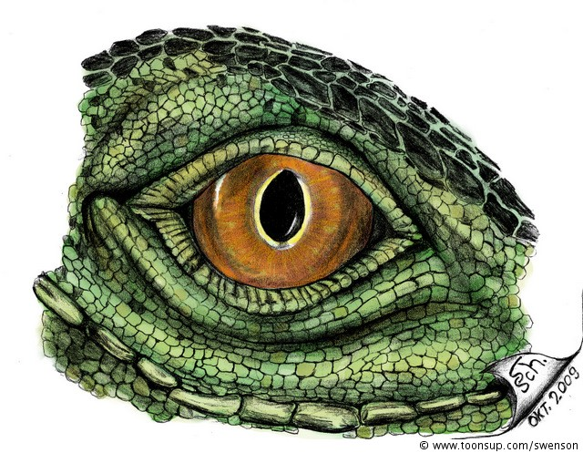 Illustration: Eye of Iguana (Farbversionen) 1