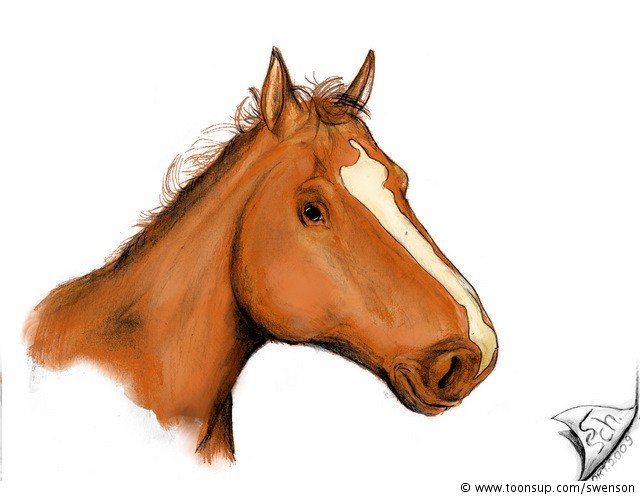 Illustration: Luna (2.chance) 1