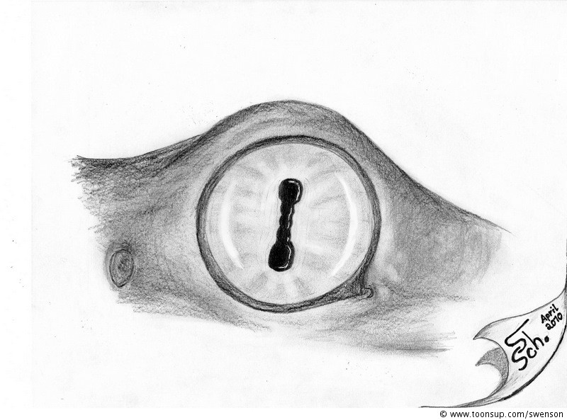 Illustration: The Eye of... keine Ahnung was es ist 1