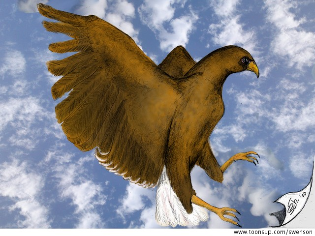 Illustration: Adler 1
