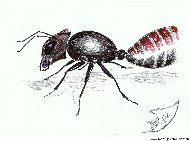 Illustration: Fleissig wie... 1