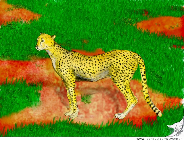 Illustration: Gepard 1