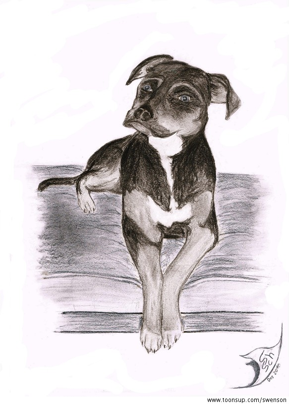 Illustration: Hund 2 (leicht überarbeitete Version) 1