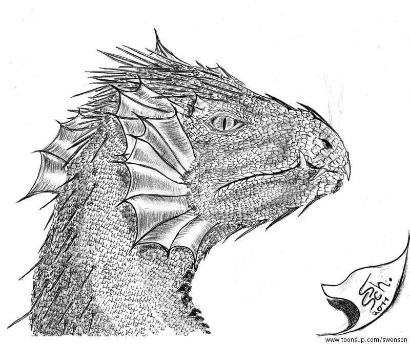 Illustration: Drache 2011 1