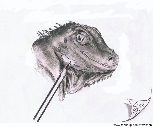 Illustration: Leguan 1