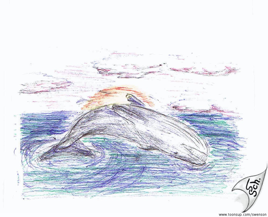 Illustration: Wal 1