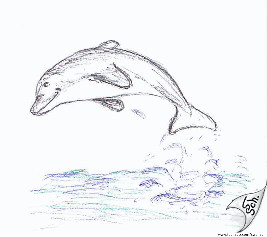 Illustration: Tümmler 1