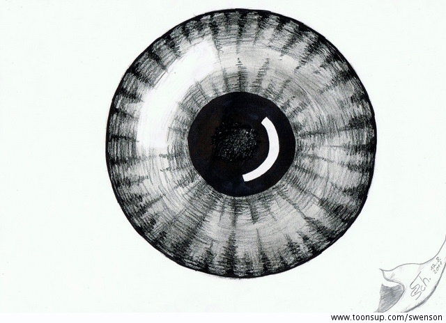 Illustration: Die Iris 1