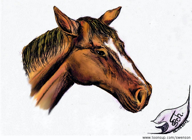 Illustration: Pferd 2012 (in Techni-Color) 1