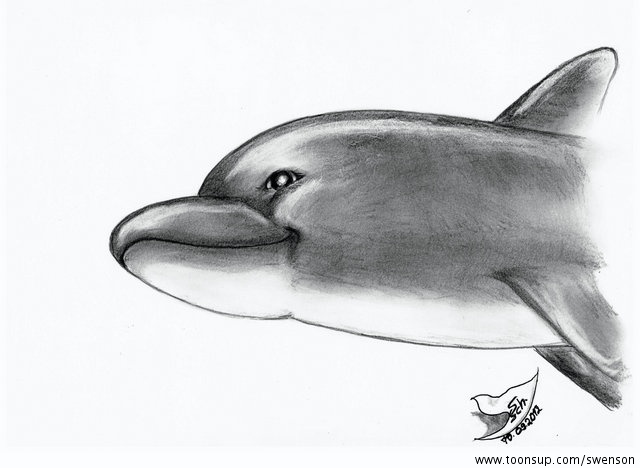Illustration: A Dolph-in 1