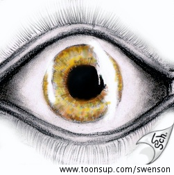 Illustration: Goldeneye 1