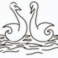 2 Schwanen seh