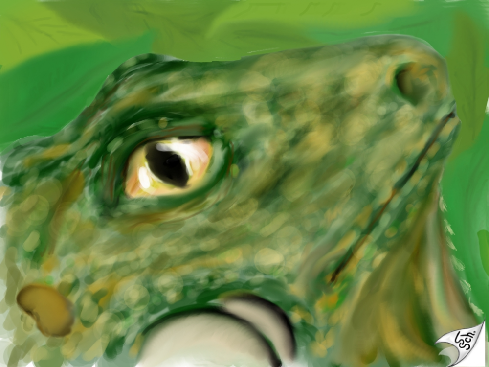 Illustration: Grisu2013 1