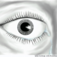 Liquid Eye