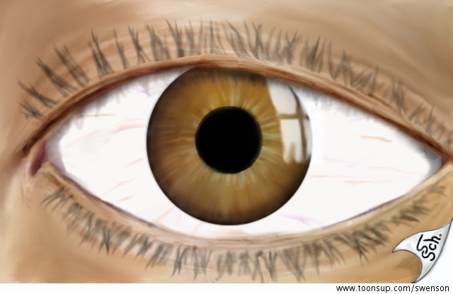 Illustration: Das Auge 2