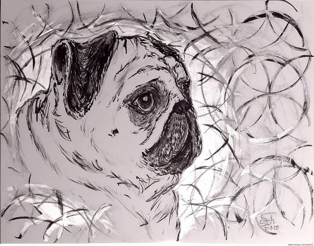 Illustration: Silver Pug 1