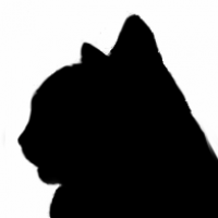 Silhouette 2