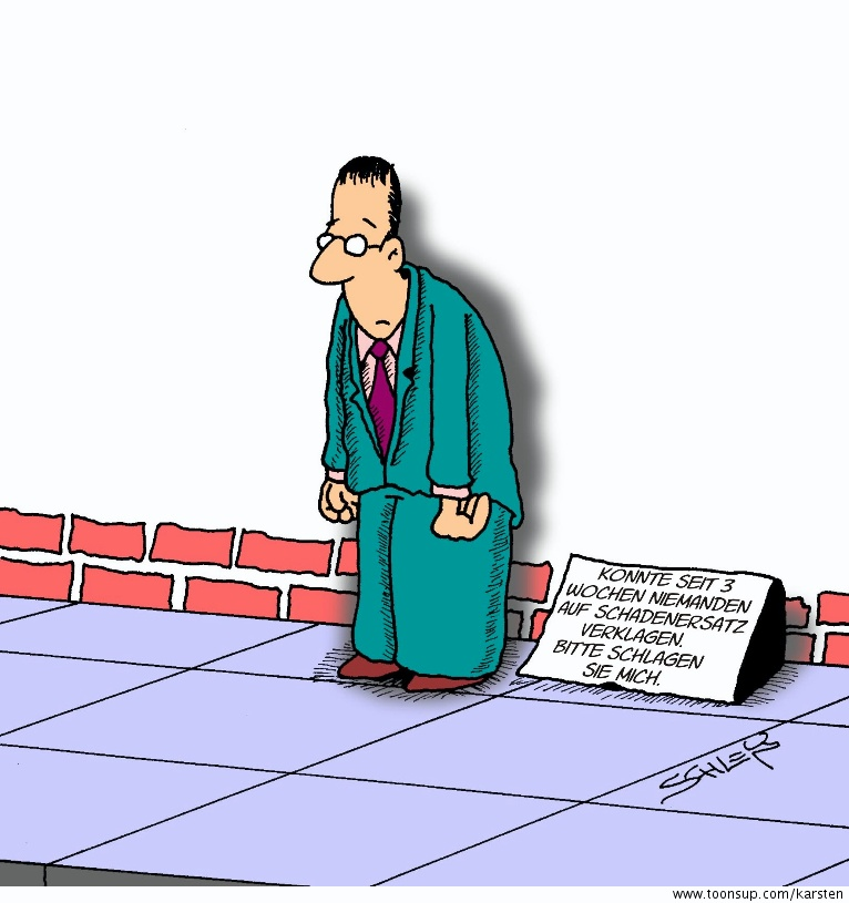 Cartoon: Schaden 1