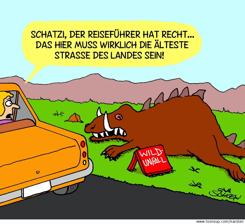 Cartoon: Wildunfall 1