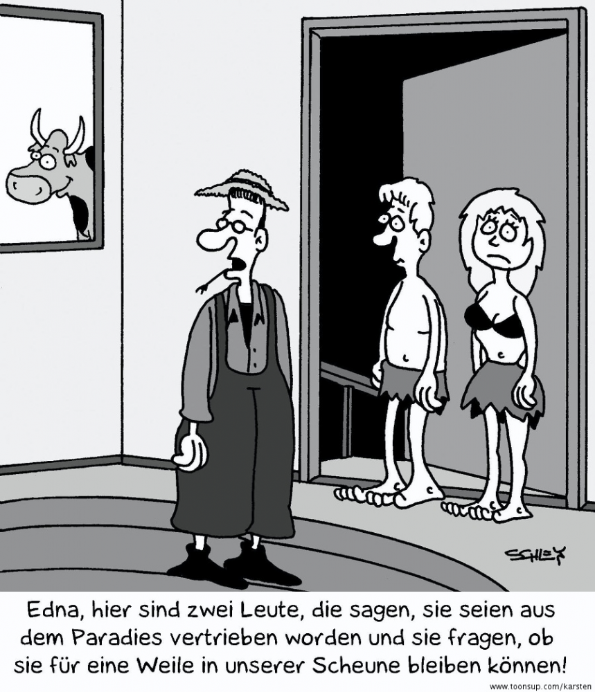 Cartoon: Scheune 1