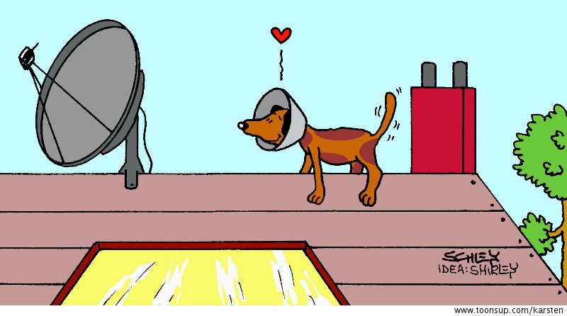 Cartoon: Hund 1