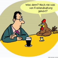 Freilandhaltung
