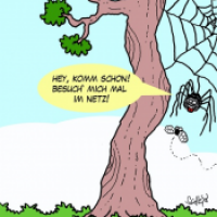 Im Netz