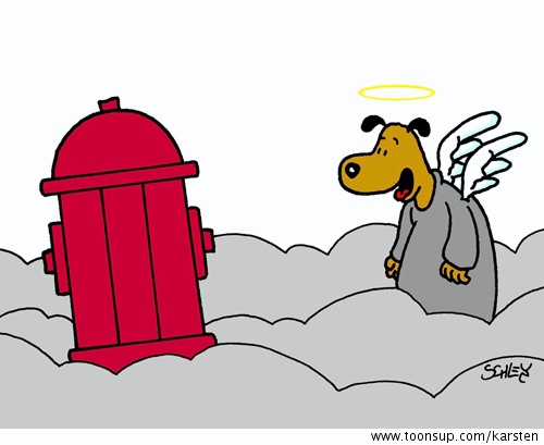 Cartoon: Paradies 1