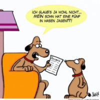 Zeugnis