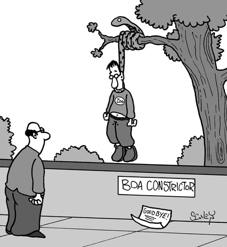 Cartoon: Boa Constrictor 1