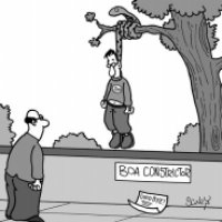 Boa Constrictor