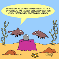 Evolution