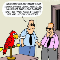 Verhör