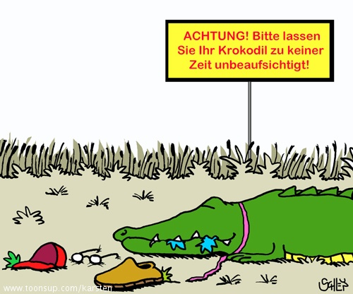 Cartoon: ACHTUNG! 1