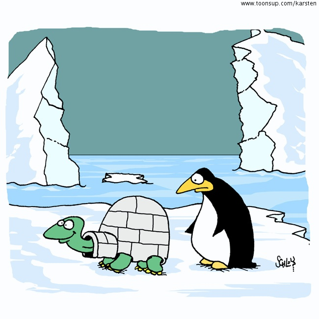Cartoon: Im Eis 1