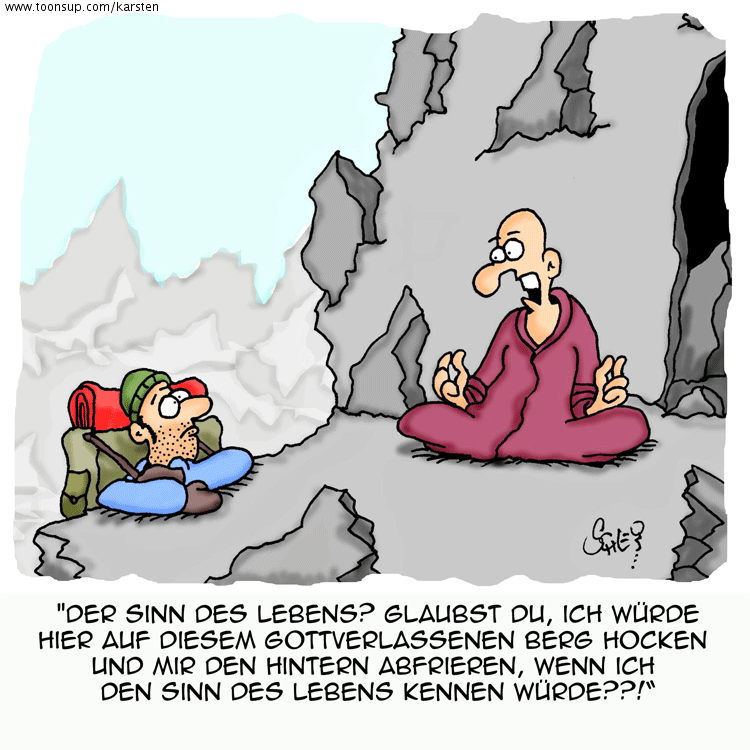 Cartoon: Wo ist der Sinn?? 1