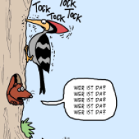 Tock, Tock!