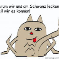 Warum wir uns am Schwanz lecken?