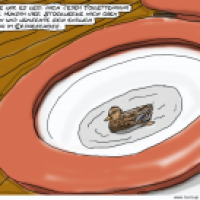 WC-Ente