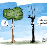 Geblitzt