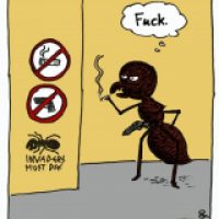 Invaders